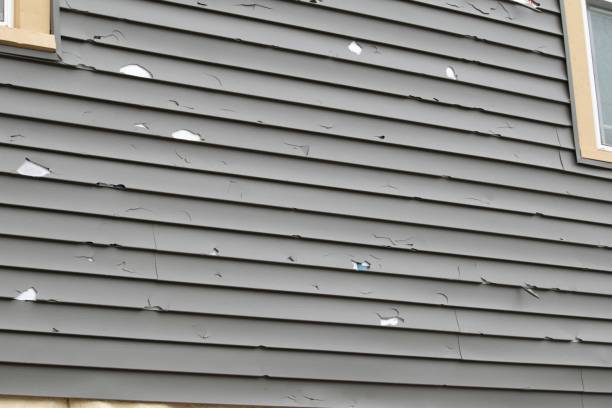 Best Custom Siding Design  in Broad Brook, CT